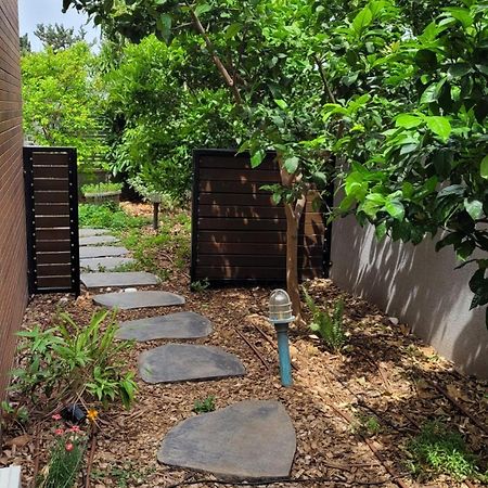 נקודות ריפוי Διαμέρισμα Tirat Carmel Εξωτερικό φωτογραφία